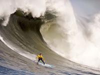 IM英雄联盟竞猜-布伦森末节狂飙定乾坤，上海队力克鹈鹕显冠军相