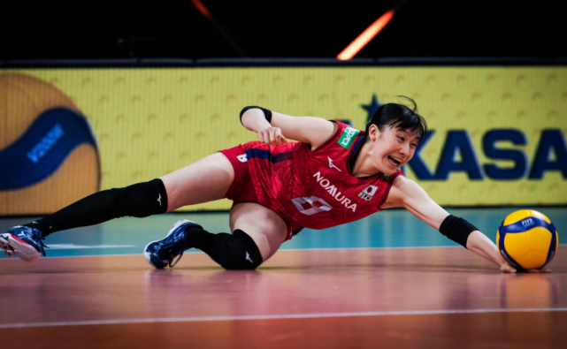 猎鹰整队换血，球队期许一飞冲天的简单介绍