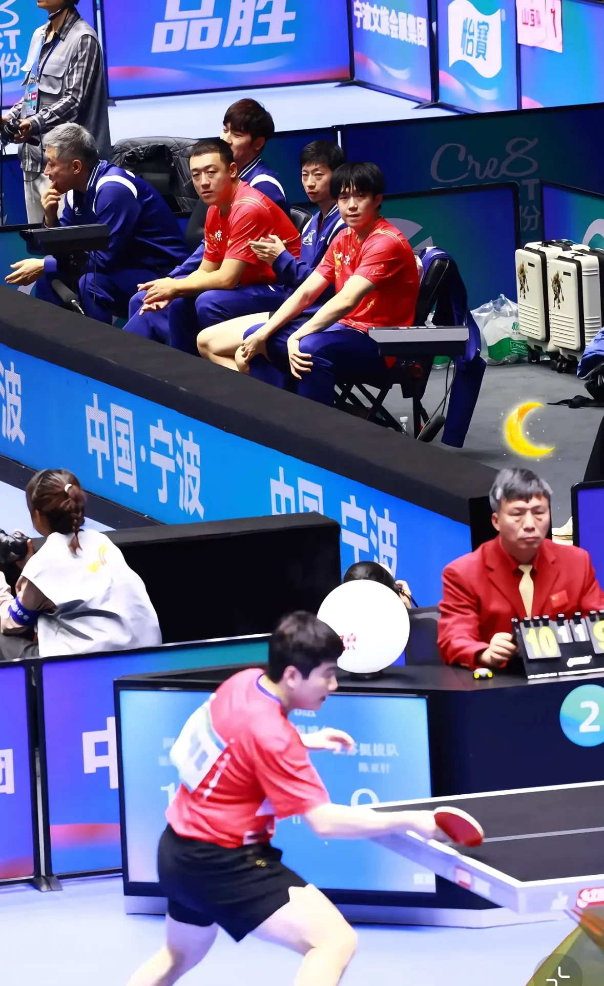 包含波兰乒乓球队轻取法国乒乓球队，马龙送出助攻的词条