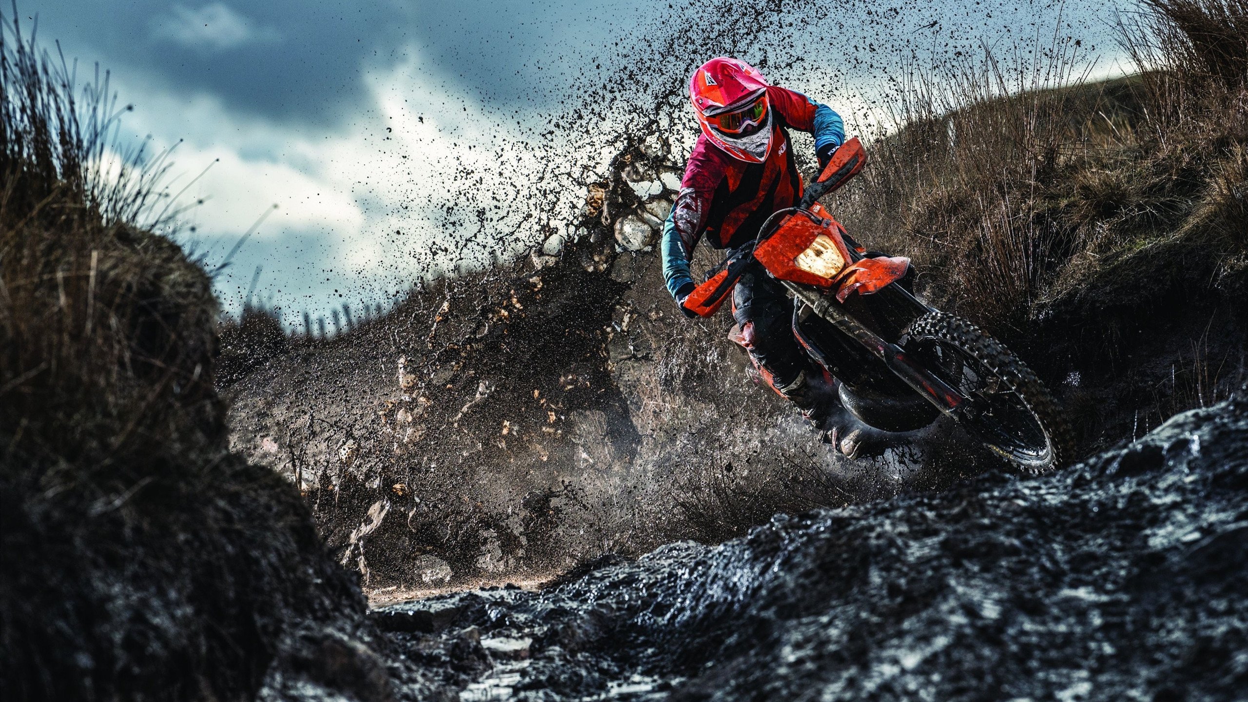 跨界统治力，当上海队末节带走森林狼，约基奇在英超争冠接管比赛